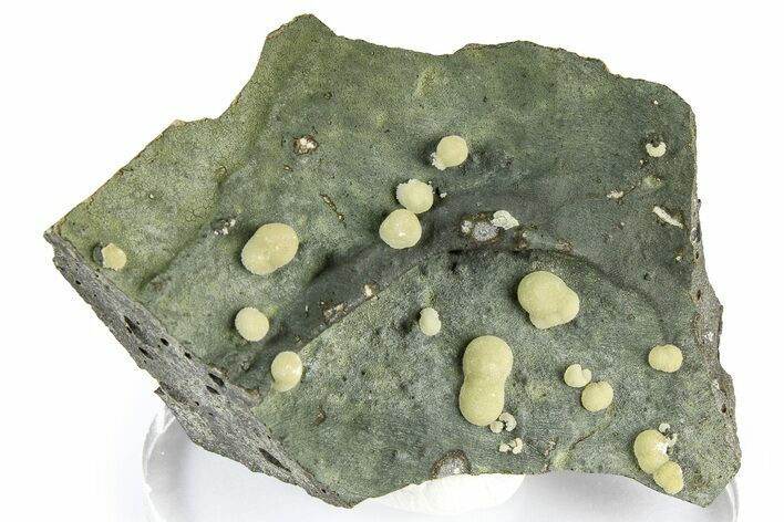 Globular Yellow Calcite Formations on Basalt - Italy #368883
